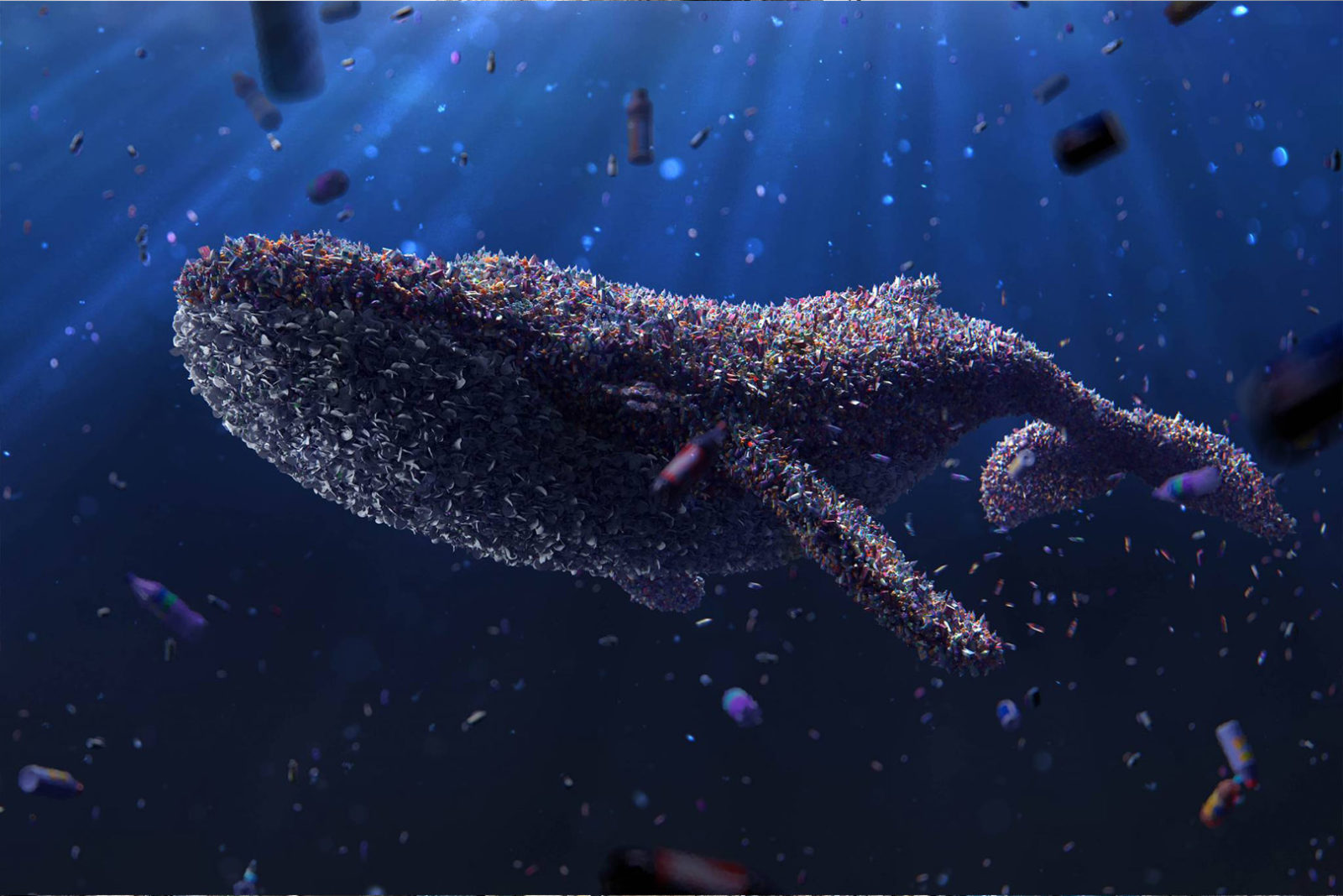 L'effetto delle microplastiche nei pesci